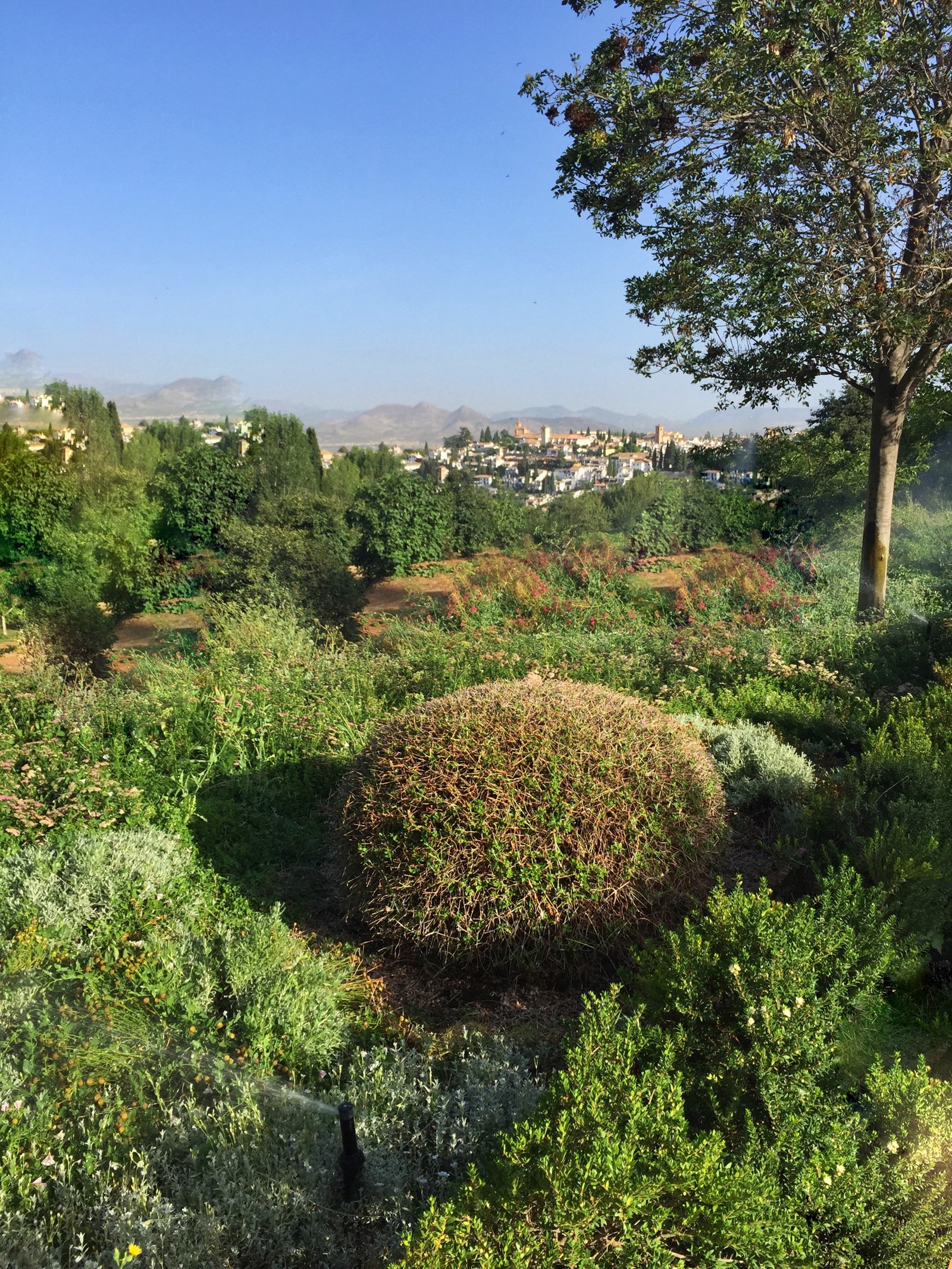 Ein Spaziergang am Morgen durch die Gärten von Alhambra