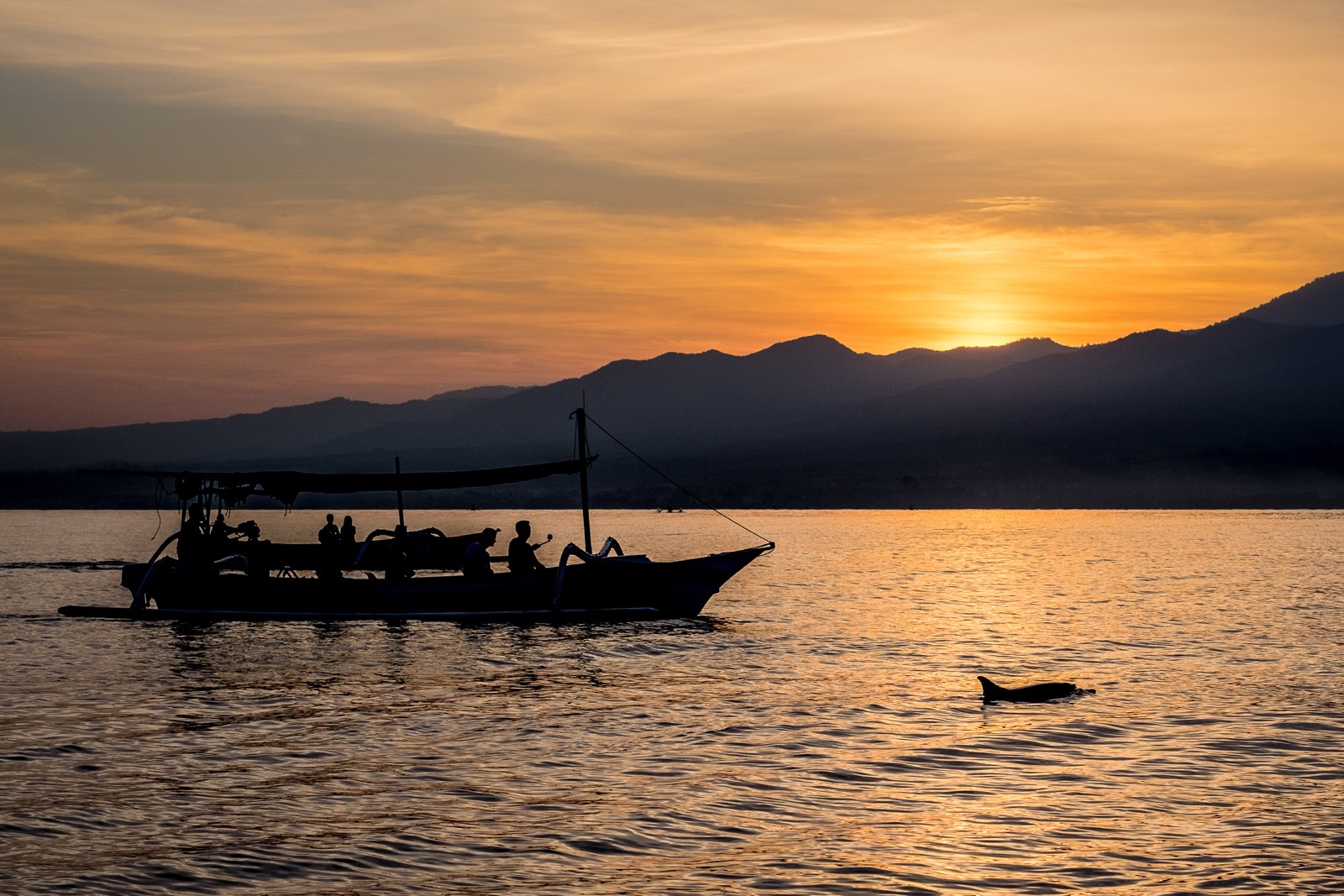 Delfine, Sonnenaufgang und ein Boot